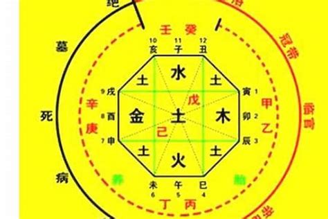 喜用神金意思|八字入门基础 第六篇 如何判断八字喜用神